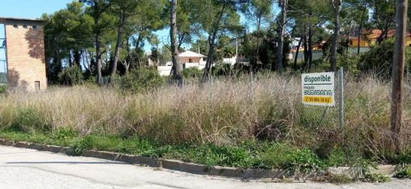 Terreno en Mediona photo 3