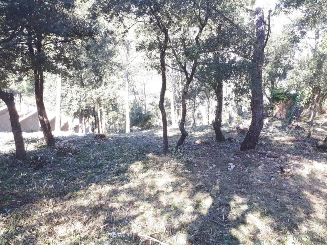 Terreno en venta en Torrelles de Foix, Barcelona photo 5
