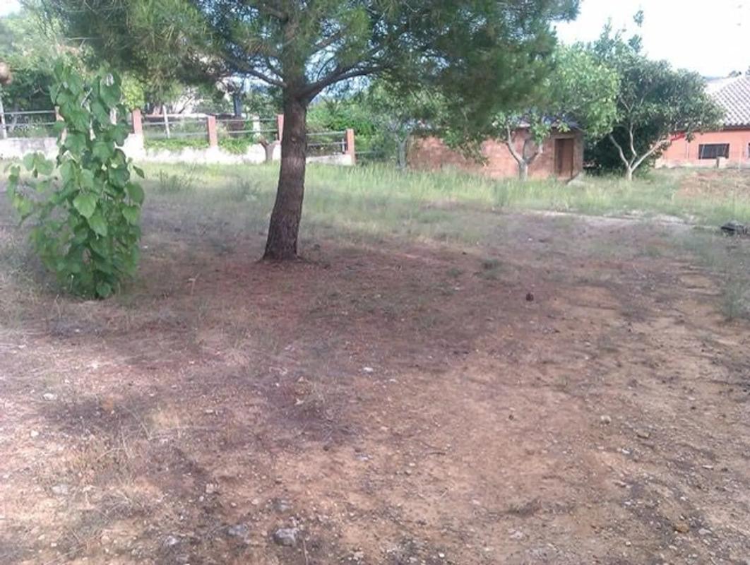 Land for sale in Torrelles de Foix, Barcelona photo 4