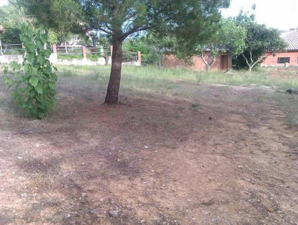 Terreno en calle desmai (Can Coral) s/n sn photo 4