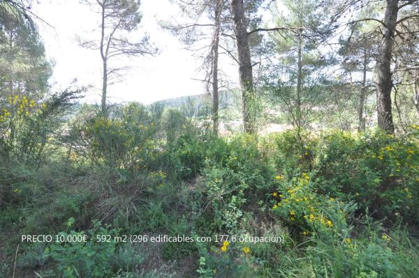 Terreno en La Font del Bosc s/n photo 1