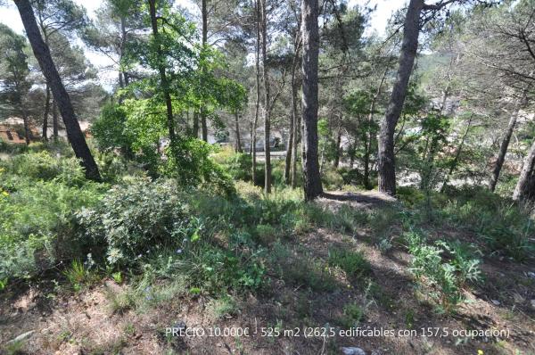 Terreno en La Font del Bosc s/n photo 2