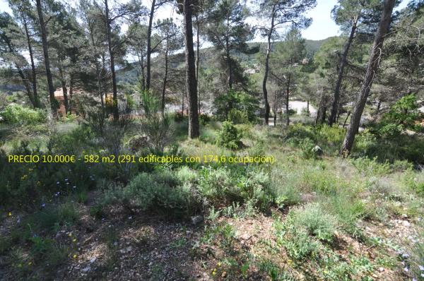 Terreno en La Font del Bosc s/n photo 3