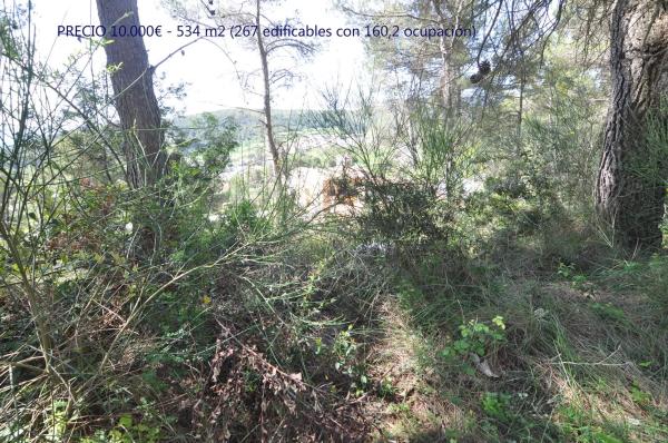 Terreno en La Font del Bosc s/n photo 4