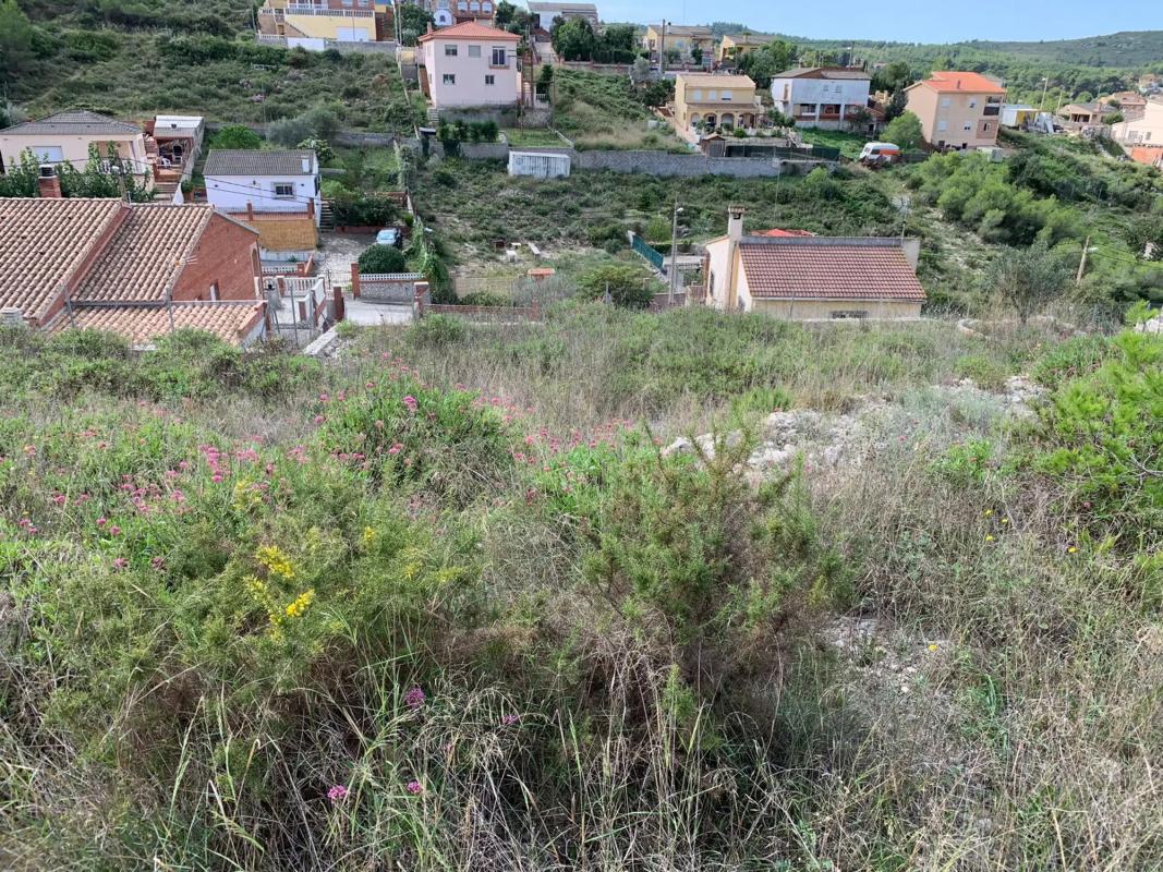 Land for sale in Olèrdola, Barcelona photo 4