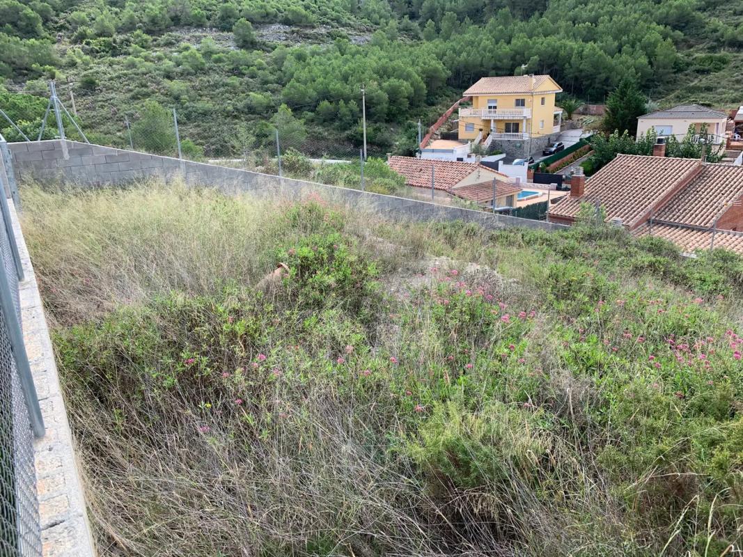 Land for sale in Olèrdola, Barcelona photo 5
