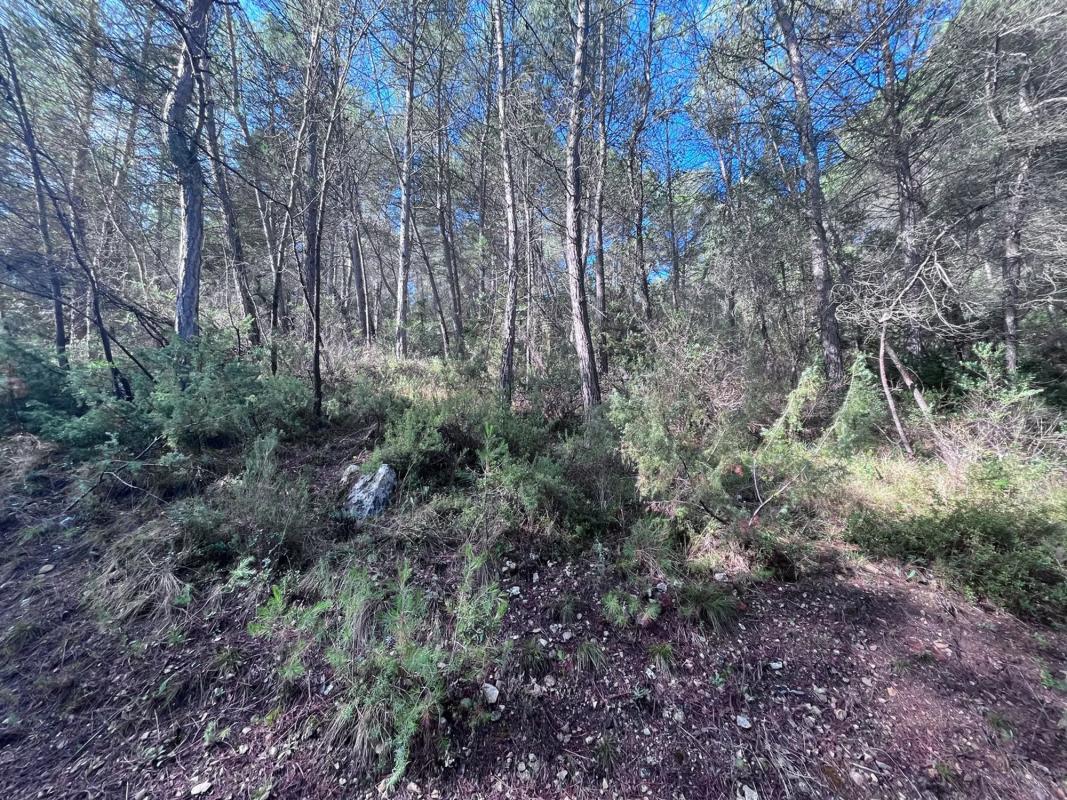 Terreno en venta en Mediona, Barcelona photo 2