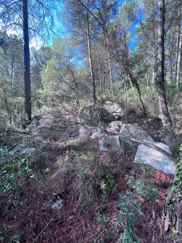 Terreno en venta en Mediona, Barcelona photo 3