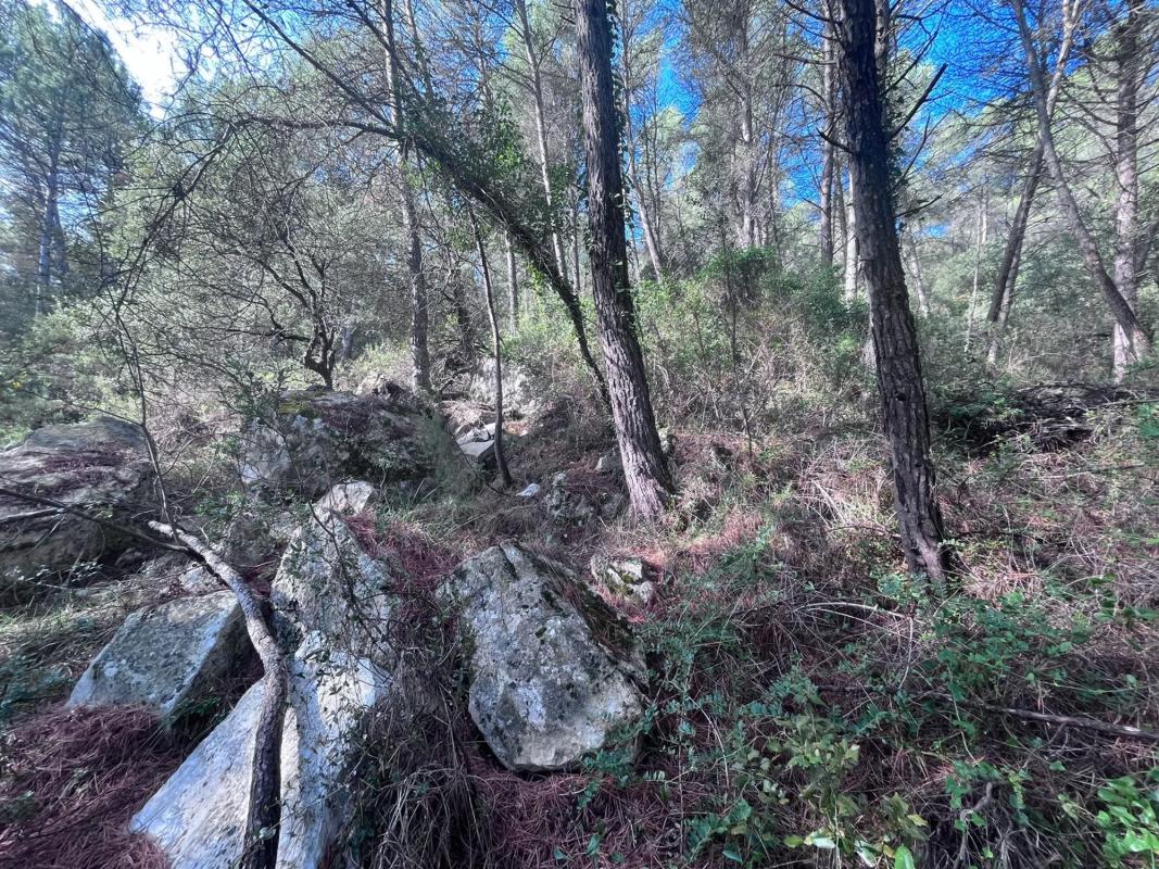 Terreno en venta en Mediona, Barcelona photo 4
