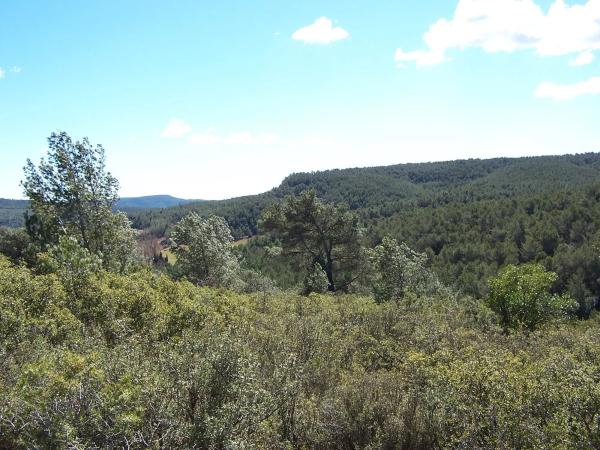 Terreno en Major s/n photo 1