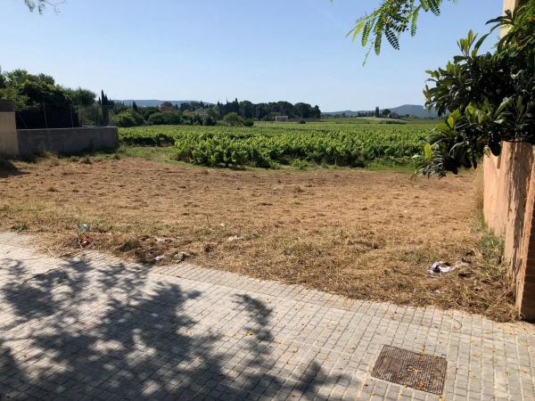 Terreno en avenida de Catalunya, 49 photo 2