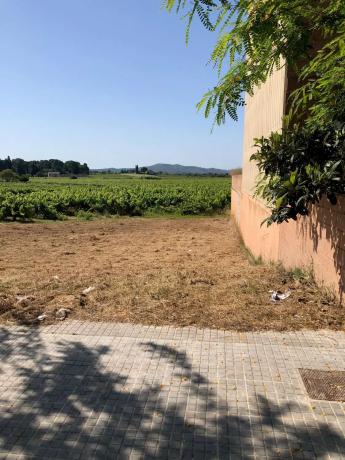 Terreno en avenida de Catalunya, 49 photo 3