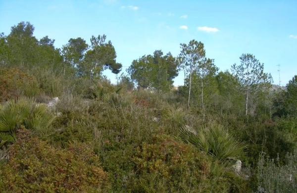 Terreno en Avinyonet del Penedès photo 2
