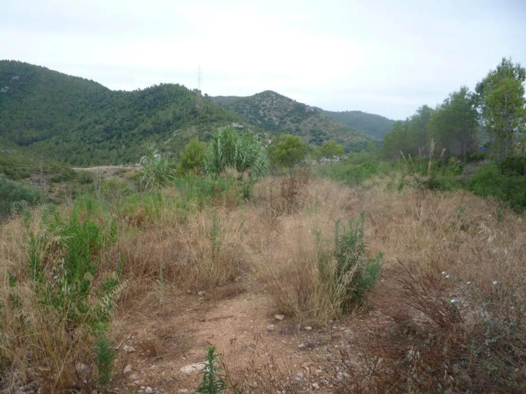Działka na sprzedaż w Avinyonet del Penedès, Barcelona photo 4