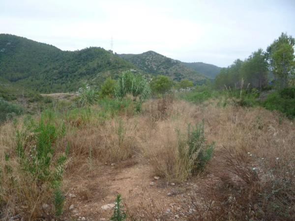 Terreno en Avinyonet del Penedès photo 4
