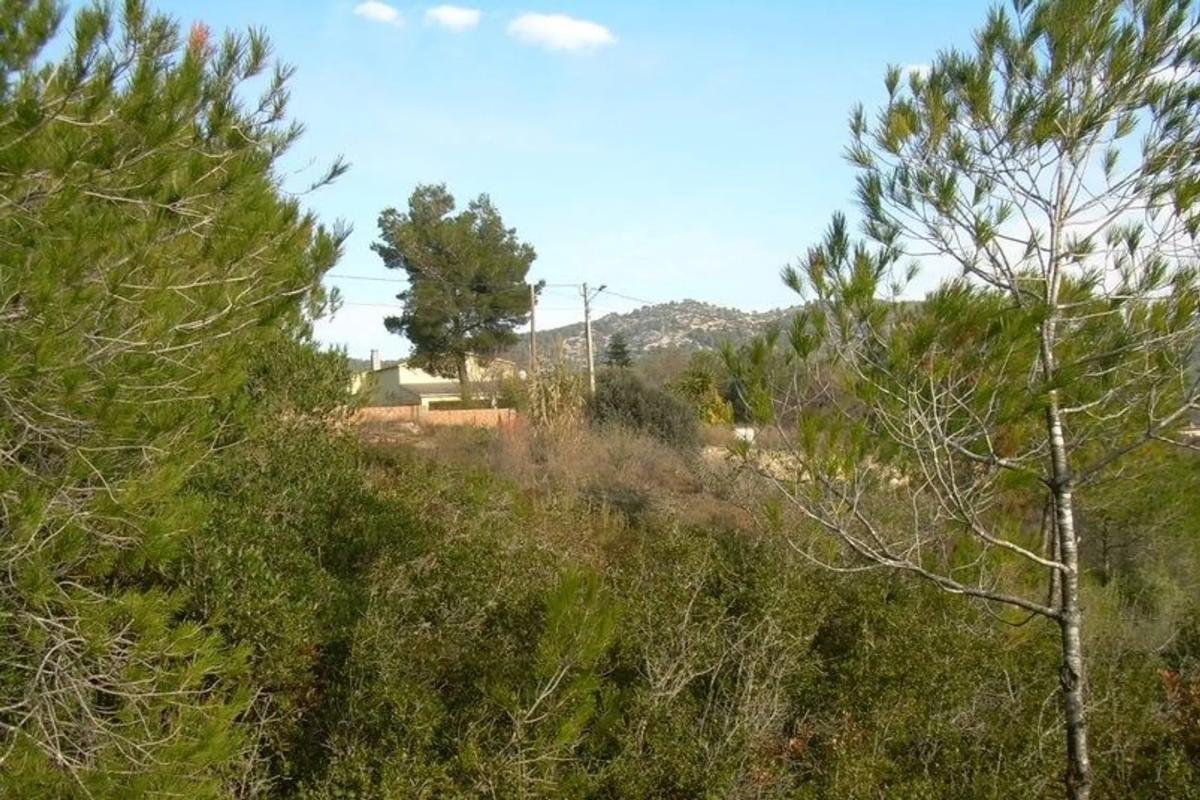 Działka na sprzedaż w Avinyonet del Penedès, Barcelona photo 5