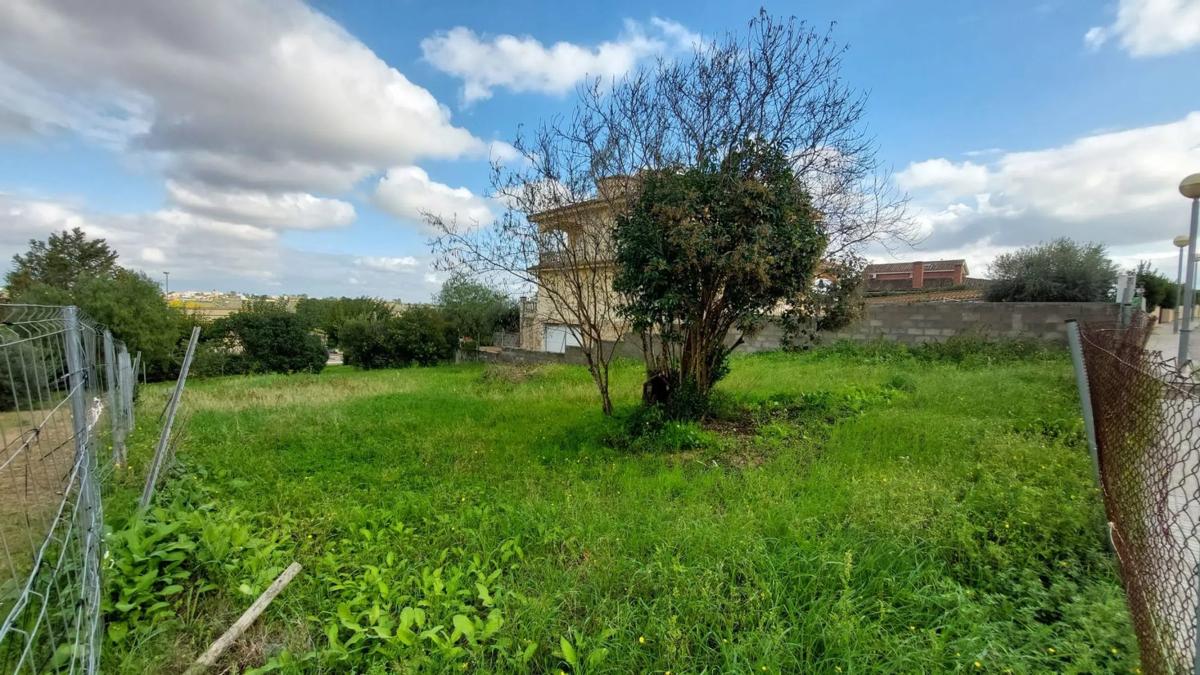 Land for sale in Vilobí del Penedès, Barcelona photo 5