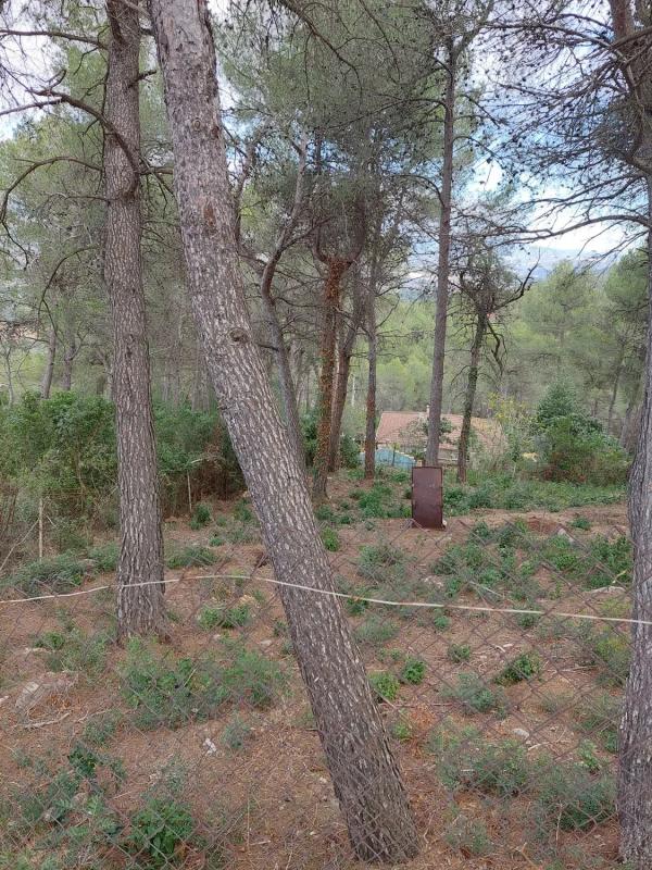 Terreno en venta en Gelida, Barcelona photo 3