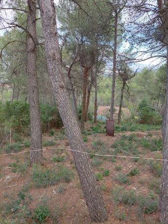 Terreno en avenida Martivell, 1105 thumbnail 2