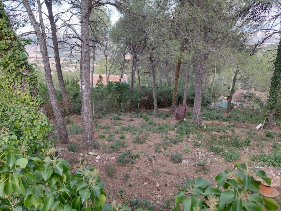 Terreno en venta en Gelida, Barcelona photo 4