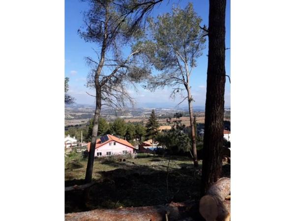 Terreno en calle del Montsant photo 3