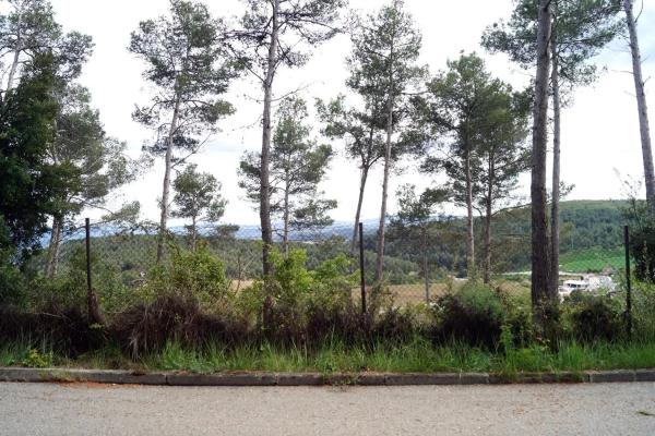 Terreno en calle Avet, 78 photo 2