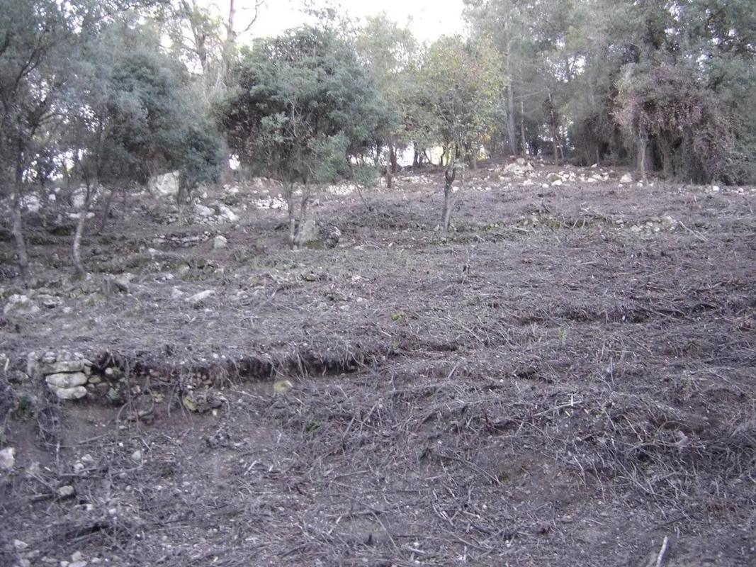 Terreno en venta en Gelida, Barcelona photo 2