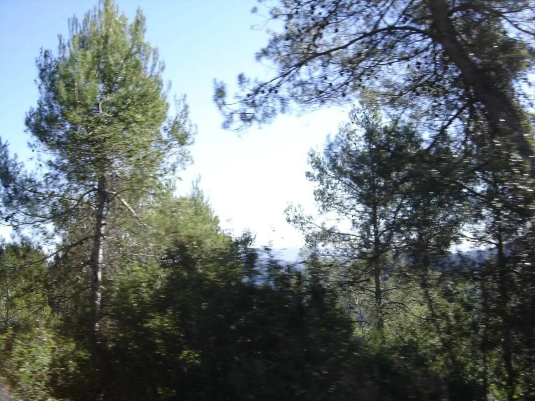 Terreno en venta en Gelida, Barcelona photo 4