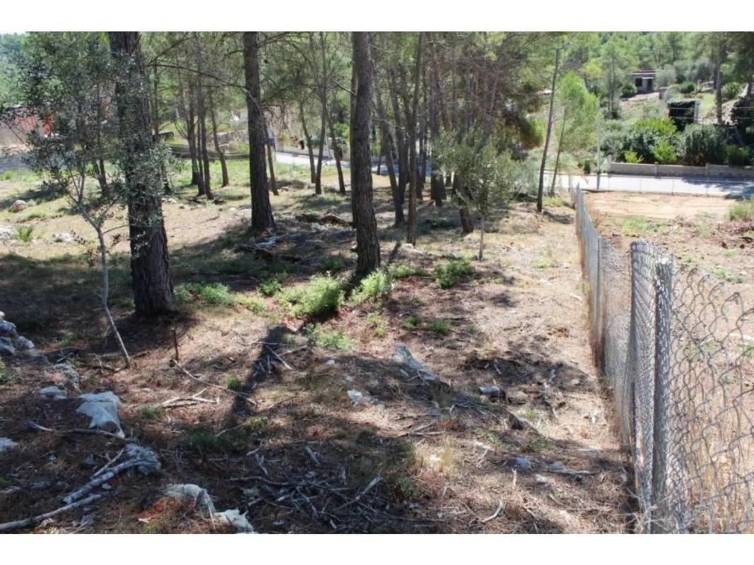 Terreno en venta en Avinyonet del Penedès, Barcelona photo 4