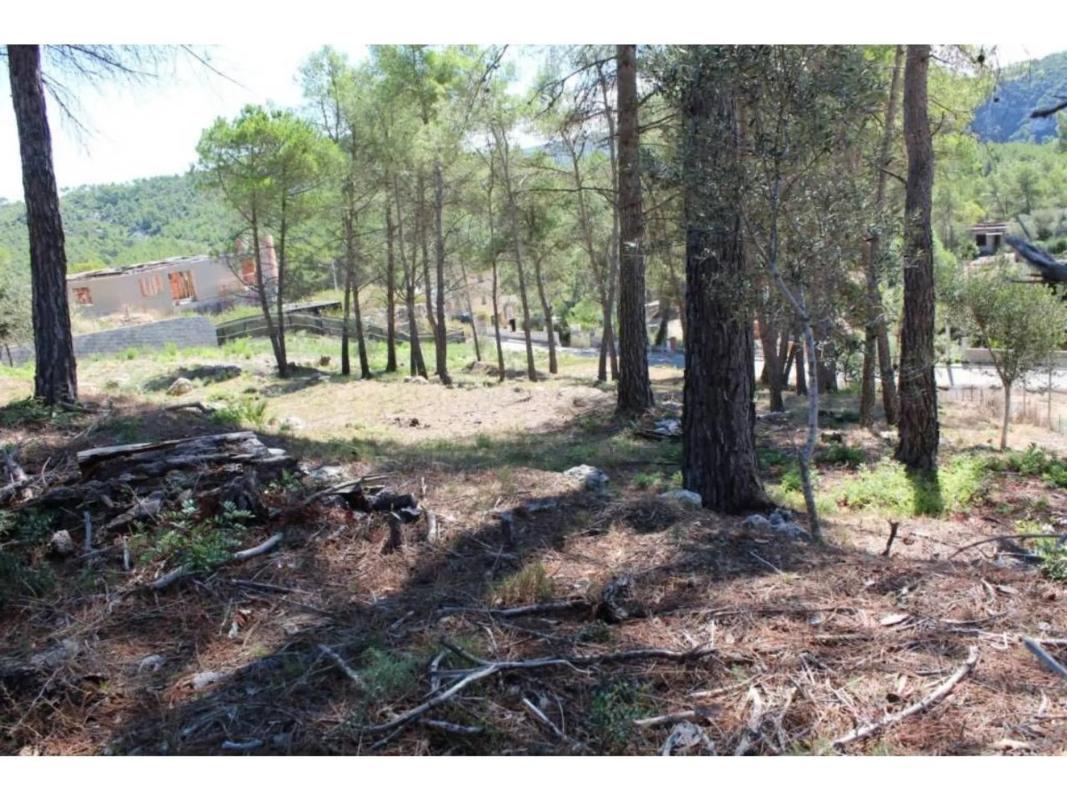 Terreno en venta en Avinyonet del Penedès, Barcelona photo 5