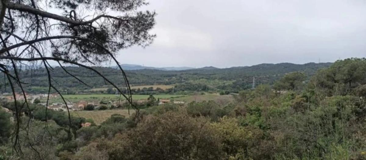 Działka na sprzedaż w Piera, Barcelona photo 1