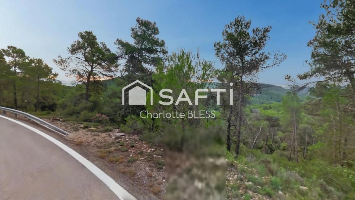 Terreno en venta en Llacuna, La, Barcelona photo 3