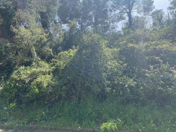 Terreno en calle Salvador Claramunt thumbnail 1