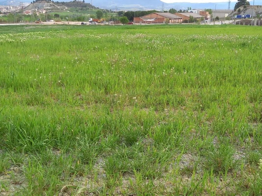 Land for sale in Santa Margarida de Montbui, Barcelona photo 5