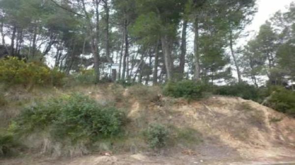 Terreno en calle dels Països Catalans photo 3