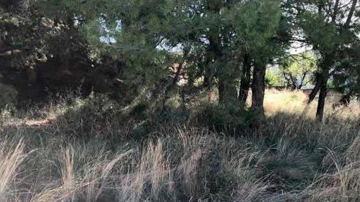 Terreno en venta en Piera, Barcelona photo 2