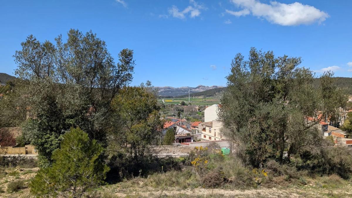 Terreno en venta en Llacuna, La, Barcelona photo 3