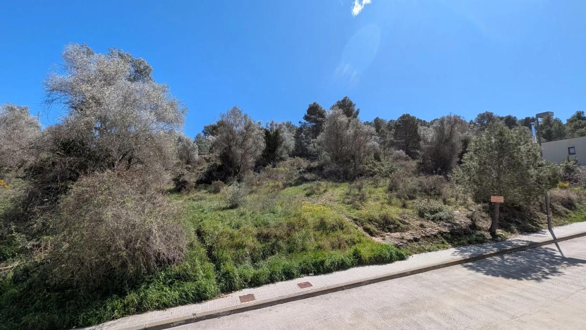 Terreno en venta en Llacuna, La, Barcelona photo 4