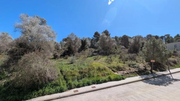Terreno en calle Pujada de la Serra, 9 photo 4