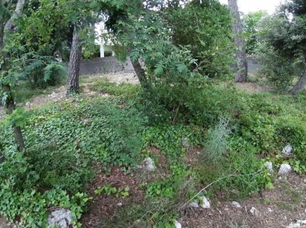 Terreno en calle Anoia, 824 photo 4