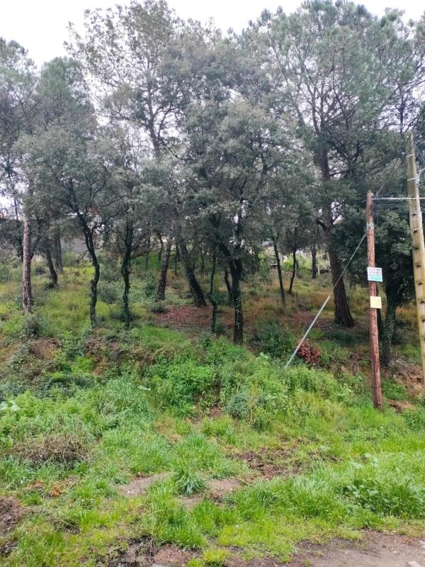 Terreno en venta en Piera, Barcelona photo 2