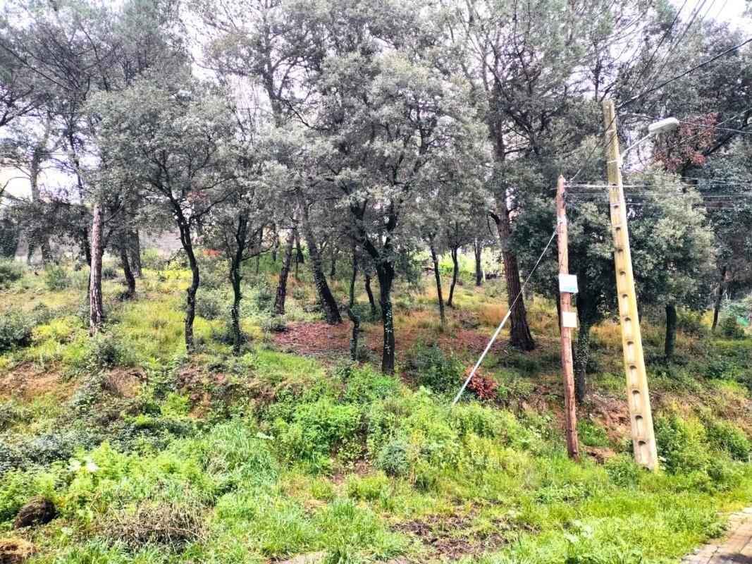 Terreno en venta en Piera, Barcelona photo 4