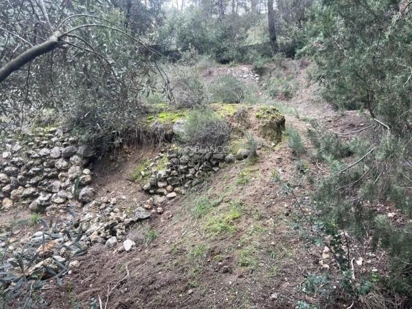 Terreno en Cabrera d'Anoia photo 1