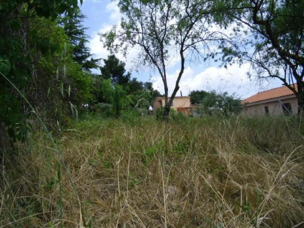 Terreno en venta en La Torre de Claramunt, Barcelona photo 3