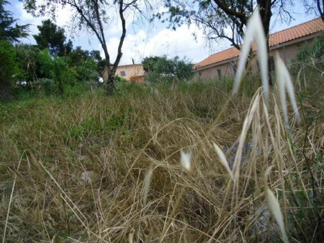 Terreno en venta en La Torre de Claramunt, Barcelona photo 4