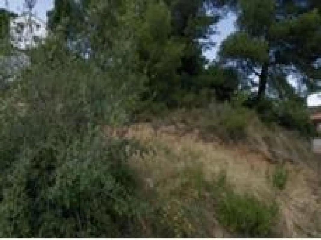 Участок земли на продажу в Пьера, Барселона photo 1