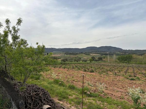 Terreno en Cabrera d'Anoia photo 1