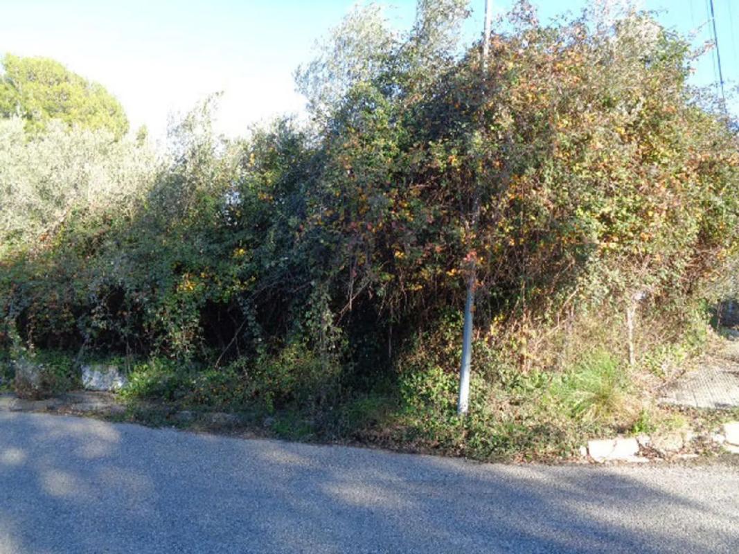 Terreno en venta en Cabrera d'Anoia, Barcelona photo 3