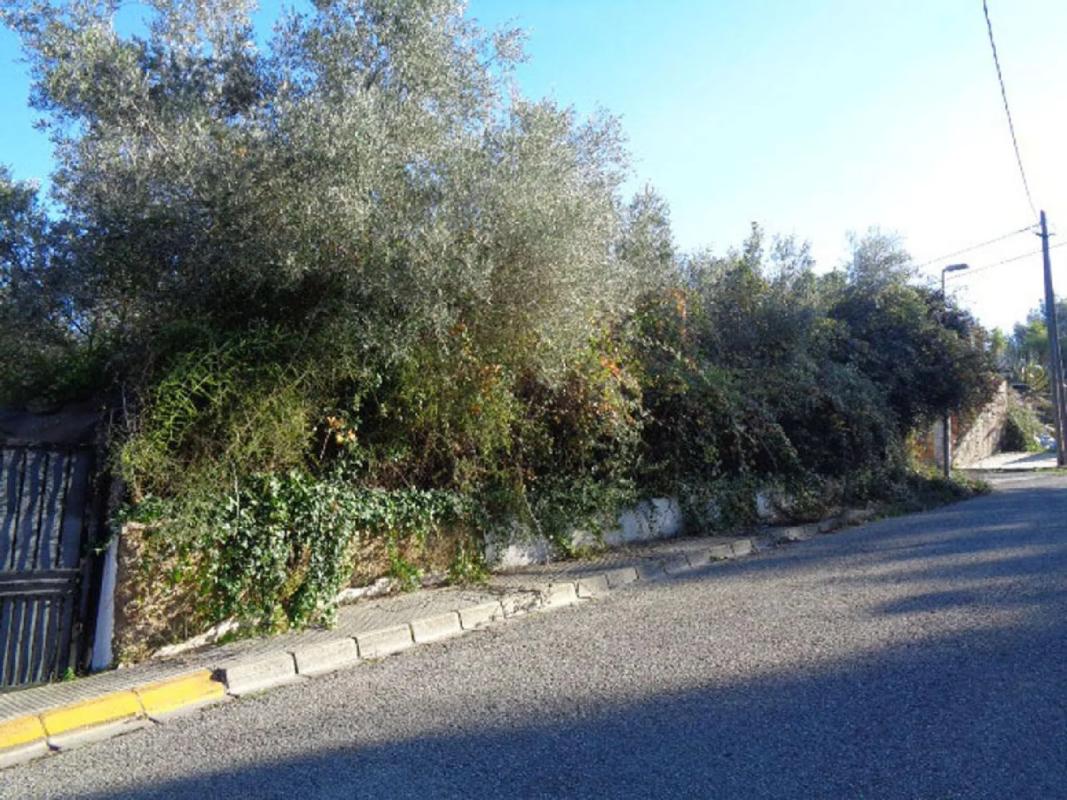 Terreno en venta en Cabrera d'Anoia, Barcelona photo 5