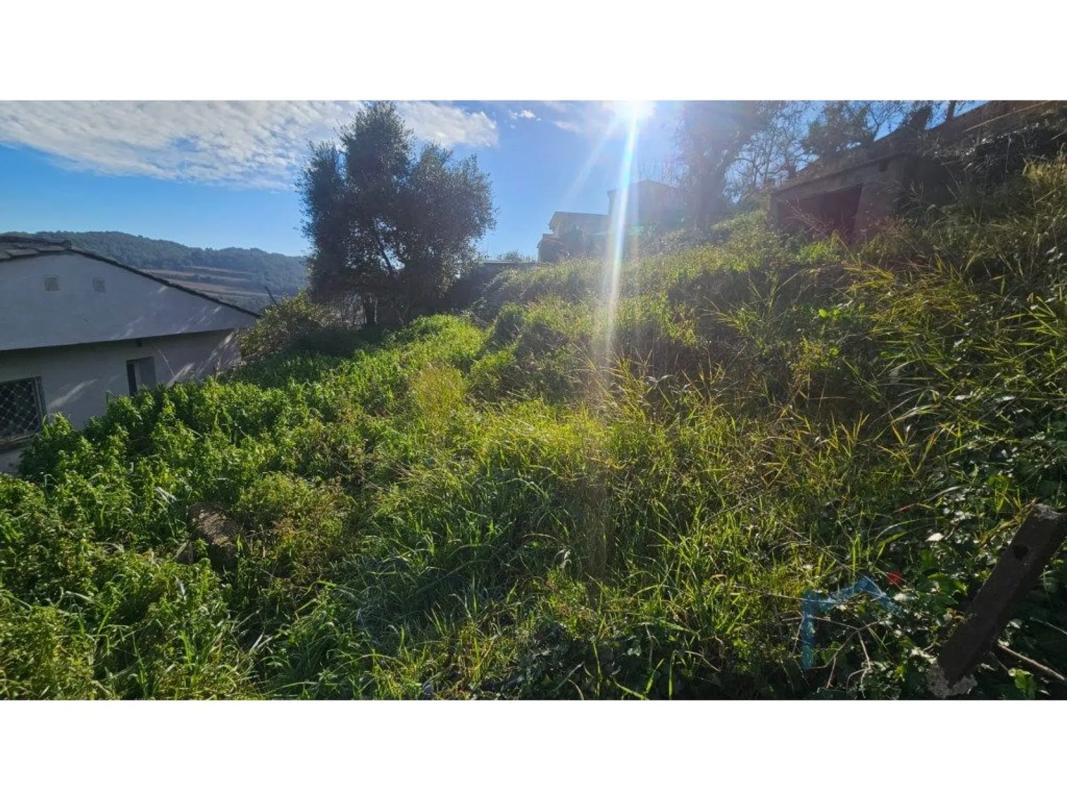 Land for sale in Masquefa, Barcelona photo 4